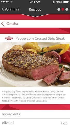 iGRILL MINI Set it and forget it