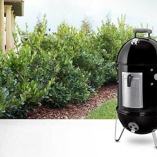 731001 Weber Smokey Mountain 22" Smoker