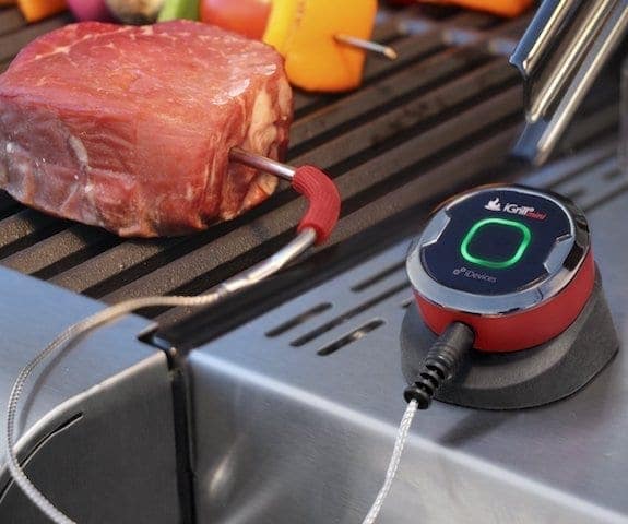 iGRILL MINI Set it and forget it
